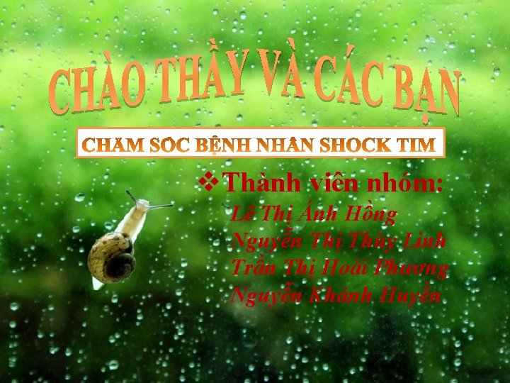 v. Thành viên nhóm: Lê Thị Ánh Hồng Nguyễn Thị Thùy Linh Trần Thị