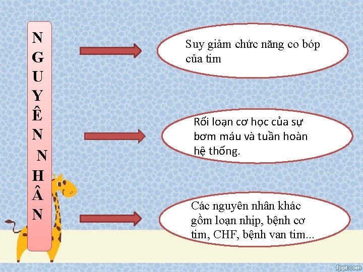 N G U Y Ê N N H N Suy giảm chức năng co