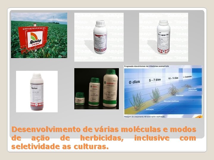 Desenvolvimento de várias moléculas e modos de ação de herbicidas, inclusive com seletividade as