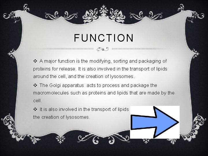 FUNCTION v A major function is the modifying, sorting and packaging of proteins for