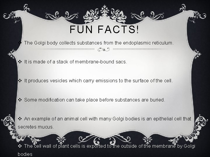 FUN FACTS! v The Golgi body collects substances from the endoplasmic reticulum. v It