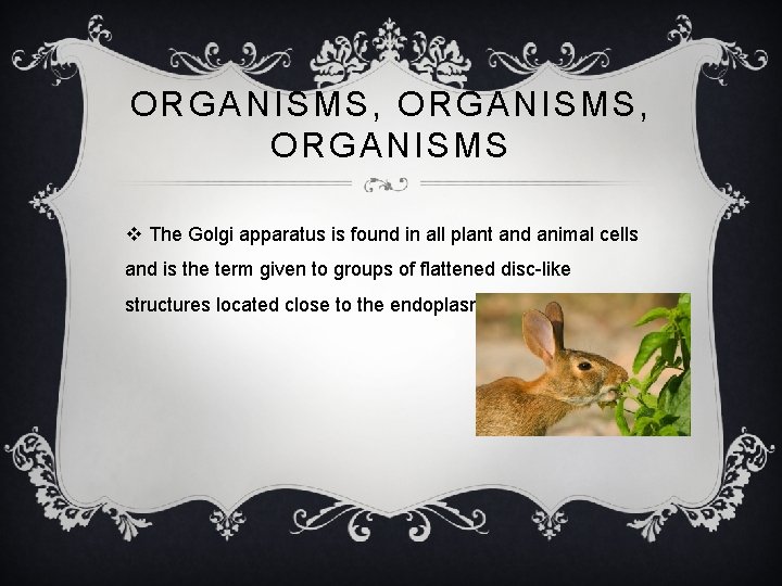 ORGANISMS, ORGANISMS v The Golgi apparatus is found in all plant and animal cells