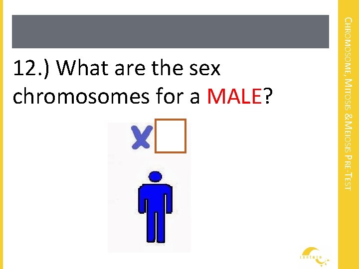 CHROMOSOME, MITOSIS &MEIOSIS PRE-TEST 12. ) What are the sex chromosomes for a MALE?