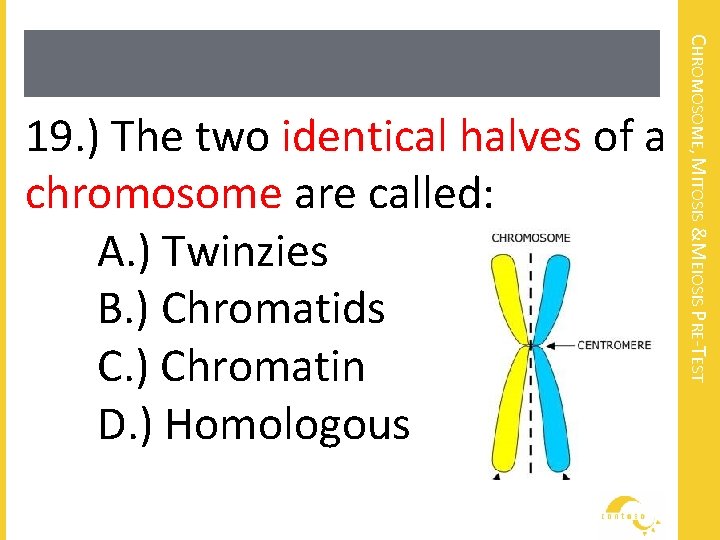 CHROMOSOME, MITOSIS &MEIOSIS PRE-TEST 19. ) The two identical halves of a chromosome are
