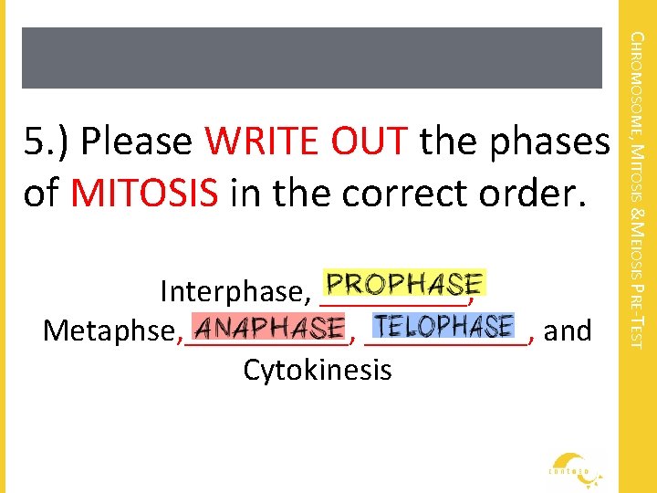 Interphase, _____, Metaphse, __________, and Cytokinesis CHROMOSOME, MITOSIS &MEIOSIS PRE-TEST 5. ) Please WRITE