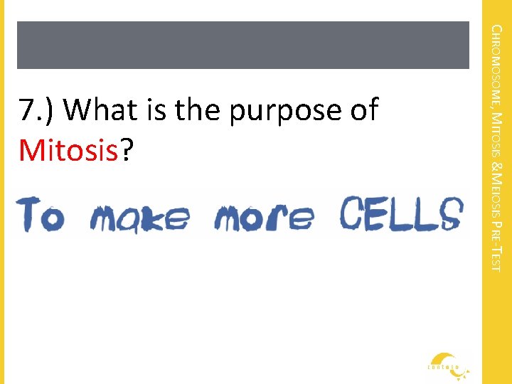 CHROMOSOME, MITOSIS &MEIOSIS PRE-TEST 7. ) What is the purpose of Mitosis? 