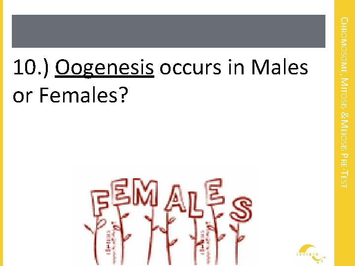 CHROMOSOME, MITOSIS &MEIOSIS PRE-TEST 10. ) Oogenesis occurs in Males or Females? 