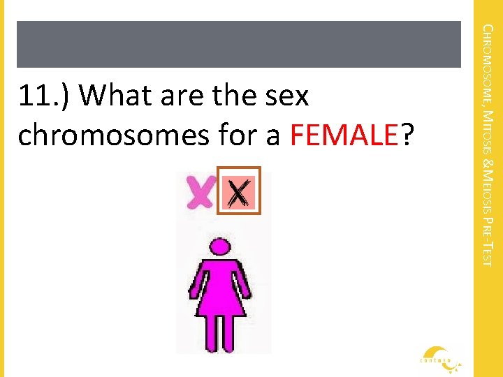 CHROMOSOME, MITOSIS &MEIOSIS PRE-TEST 11. ) What are the sex chromosomes for a FEMALE?