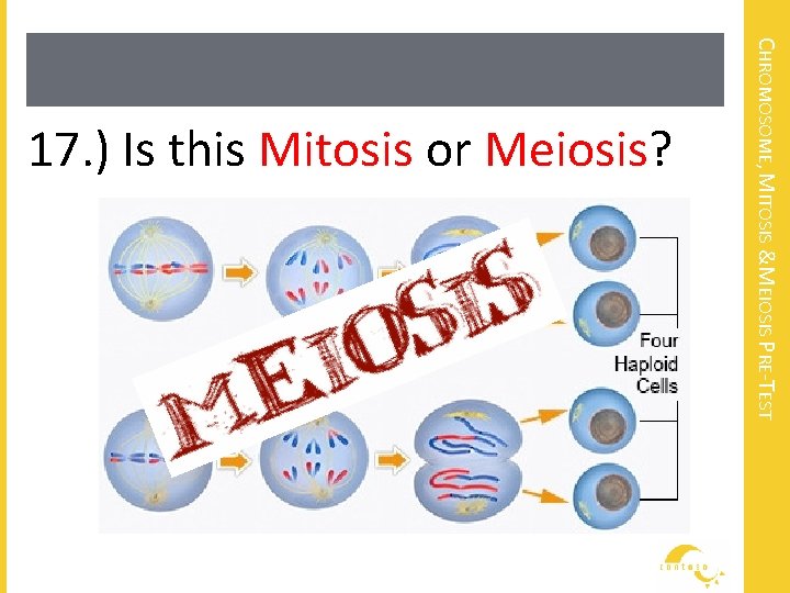 CHROMOSOME, MITOSIS &MEIOSIS PRE-TEST 17. ) Is this Mitosis or Meiosis? 