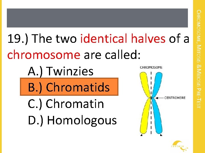 CHROMOSOME, MITOSIS &MEIOSIS PRE-TEST 19. ) The two identical halves of a chromosome are