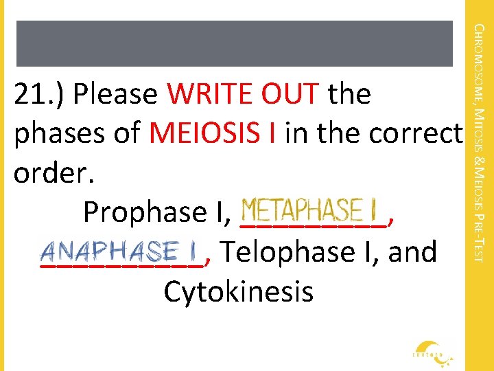 CHROMOSOME, MITOSIS &MEIOSIS PRE-TEST 21. ) Please WRITE OUT the phases of MEIOSIS I