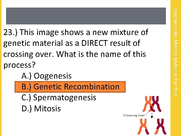 CHROMOSOME, MITOSIS &MEIOSIS PRE-TEST 23. ) This image shows a new mixture of genetic