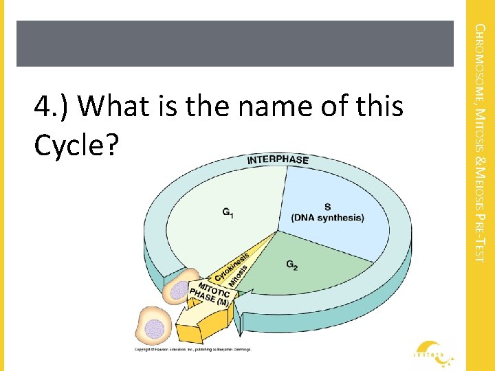 CHROMOSOME, MITOSIS &MEIOSIS PRE-TEST 4. ) What is the name of this Cycle? 