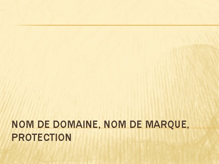 NOM DE DOMAINE, NOM DE MARQUE, PROTECTION 
