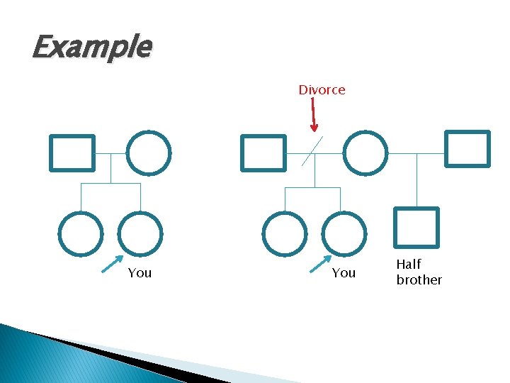 Example Divorce You Half brother 