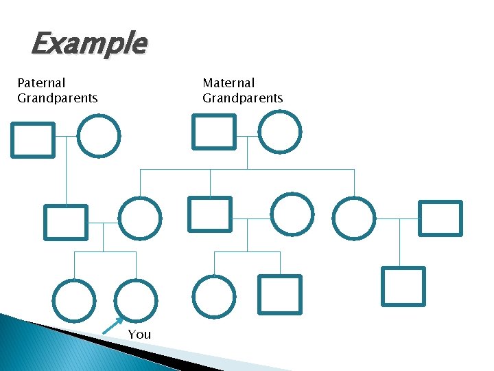 Example Paternal Grandparents Maternal Grandparents You 