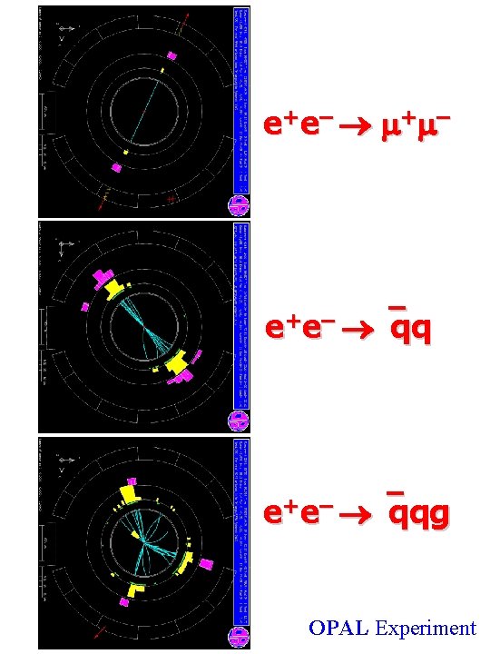 e + e – + – e+e– qqg OPAL Experiment e + e – + – e+e– qqg OPAL Experiment