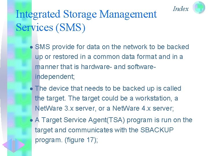 Integrated Storage Management Services (SMS) Index · SMS provide for data on the network