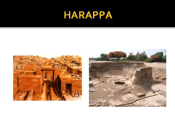 HARAPPA 