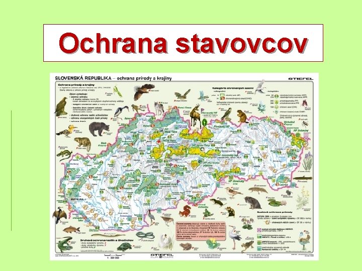 Ochrana stavovcov 