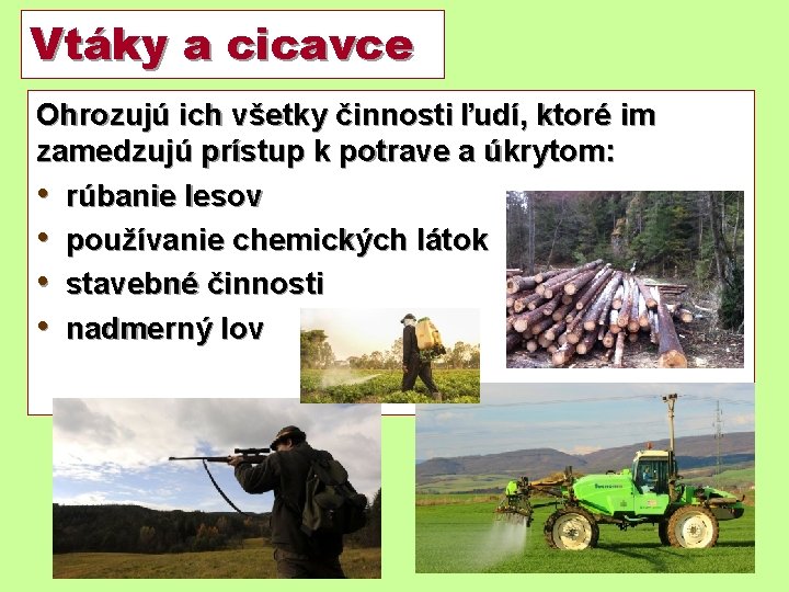 Vtáky a cicavce Ohrozujú ich všetky činnosti ľudí, ktoré im zamedzujú prístup k potrave