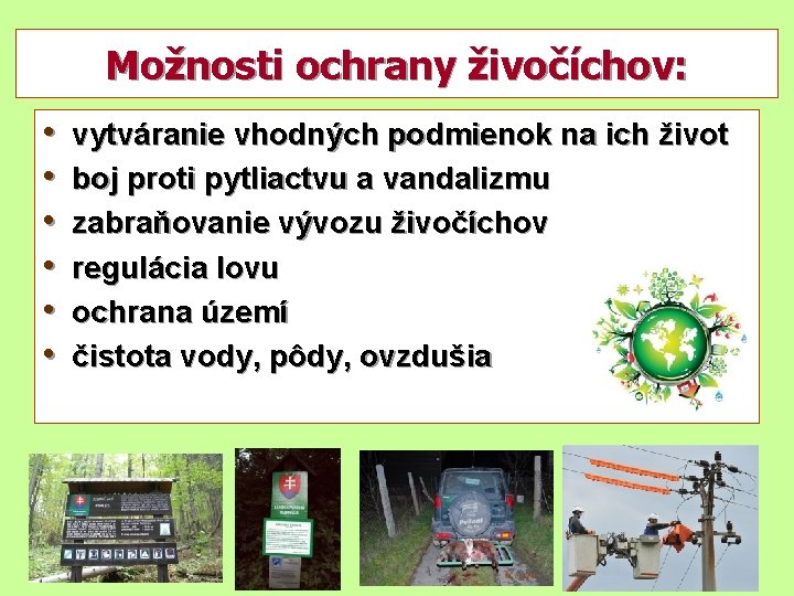 Možnosti ochrany živočíchov: • • • vytváranie vhodných podmienok na ich život boj proti