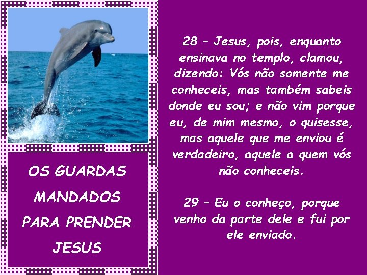 OS GUARDAS MANDADOS PARA PRENDER JESUS 28 – Jesus, pois, enquanto ensinava no templo,