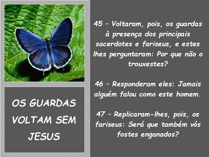 45 – Voltaram, pois, os guardas à presença dos principais sacerdotes e fariseus, e