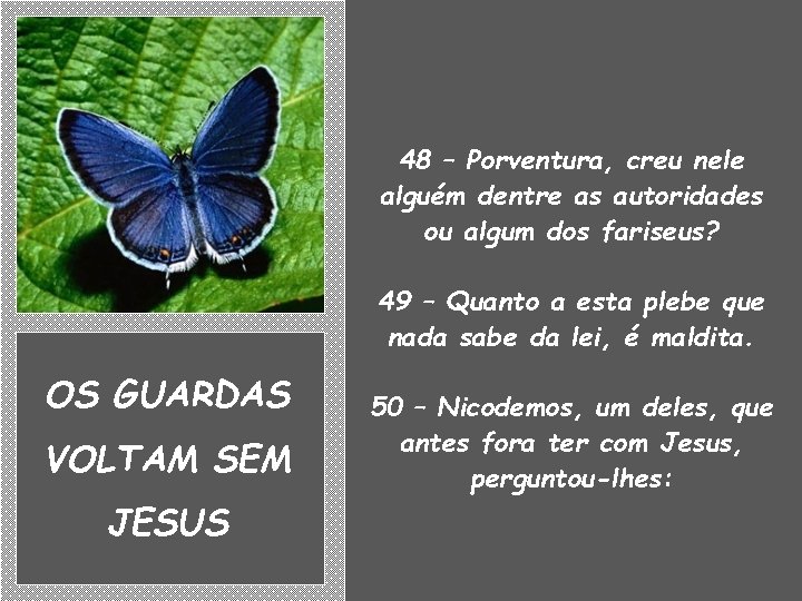 48 – Porventura, creu nele alguém dentre as autoridades ou algum dos fariseus? 49