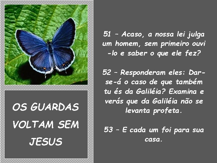 51 – Acaso, a nossa lei julga um homem, sem primeiro ouvi -lo e