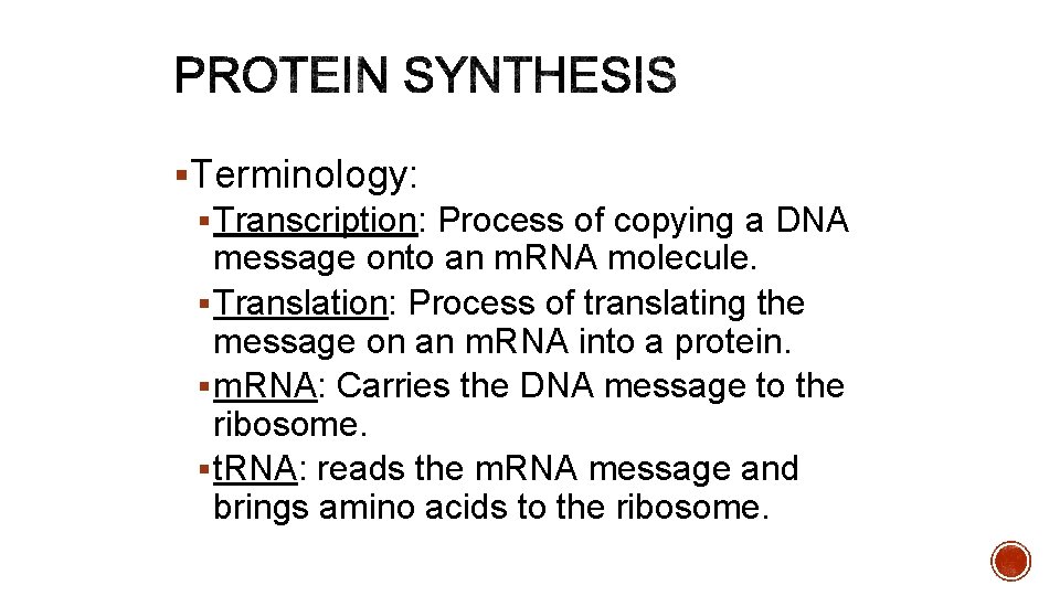 §Terminology: § Transcription: Process of copying a DNA message onto an m. RNA molecule.