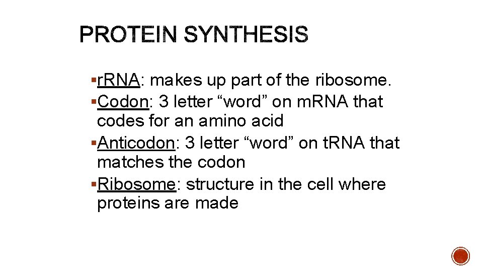 §r. RNA: makes up part of the ribosome. §Codon: 3 letter “word” on m.