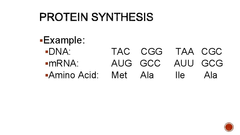 §Example: §DNA: §m. RNA: §Amino Acid: TAC CGG AUG GCC Met Ala TAA CGC