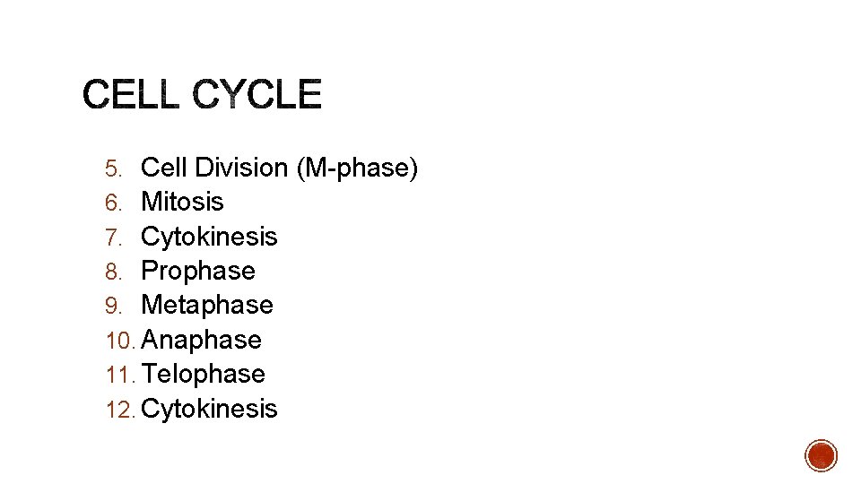 5. Cell Division (M-phase) 6. Mitosis 7. Cytokinesis 8. Prophase 9. Metaphase 10. Anaphase