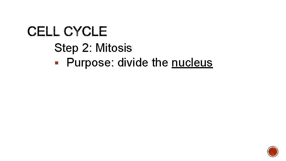 Step 2: Mitosis § Purpose: divide the nucleus 