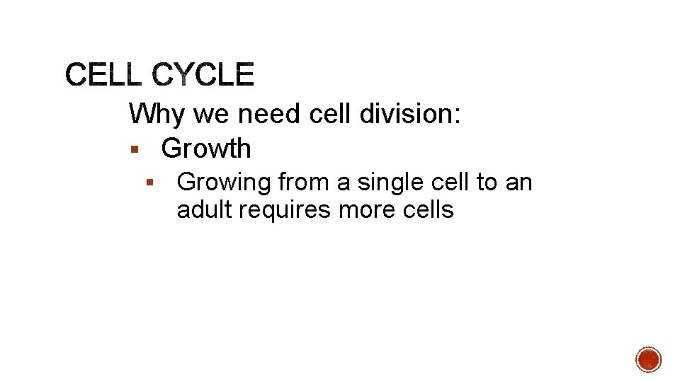 Why we need cell division: § Growth § Growing from a single cell to