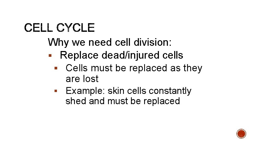 Why we need cell division: § Replace dead/injured cells § Cells must be replaced