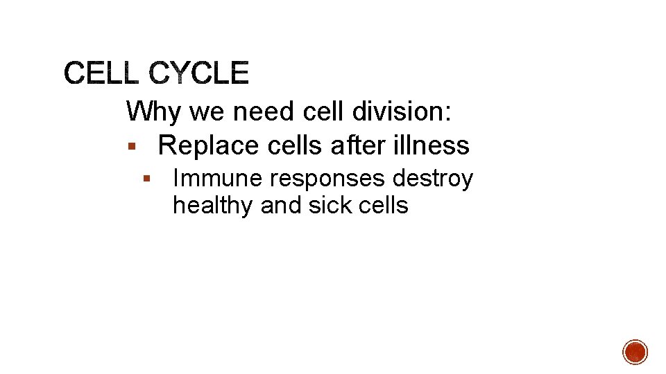 Why we need cell division: § Replace cells after illness § Immune responses destroy