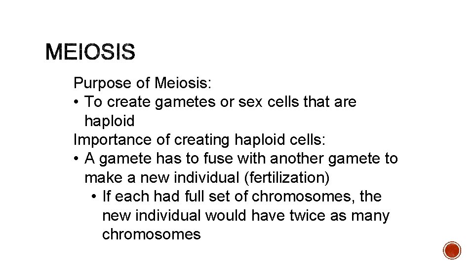 Purpose of Meiosis: • To create gametes or sex cells that are haploid Importance