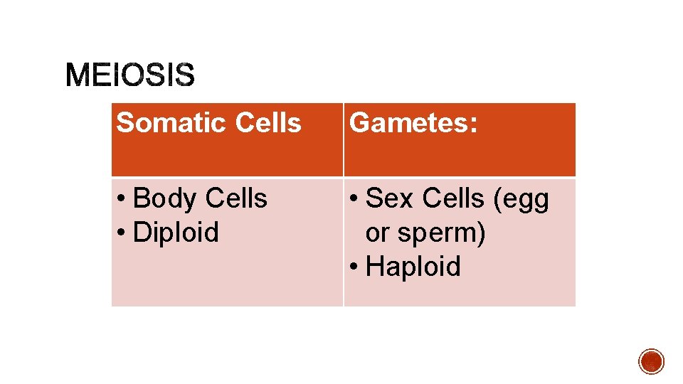 Somatic Cells Gametes: • Body Cells • Diploid • Sex Cells (egg or sperm)