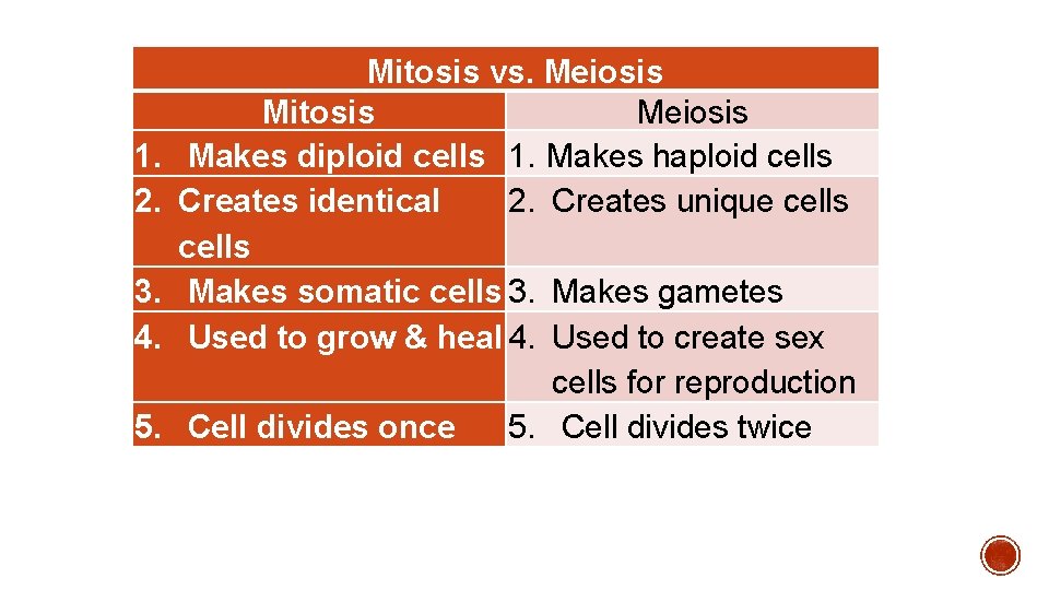 1. 2. 3. 4. 5. Mitosis vs. Meiosis Mitosis Meiosis Makes diploid cells 1.