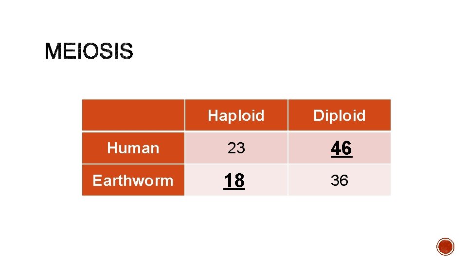 Haploid Diploid Human 23 46 Earthworm 18 36 