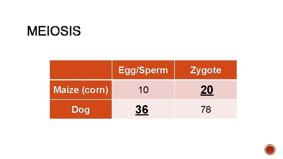 Egg/Sperm Zygote Maize (corn) 10 20 Dog 36 78 