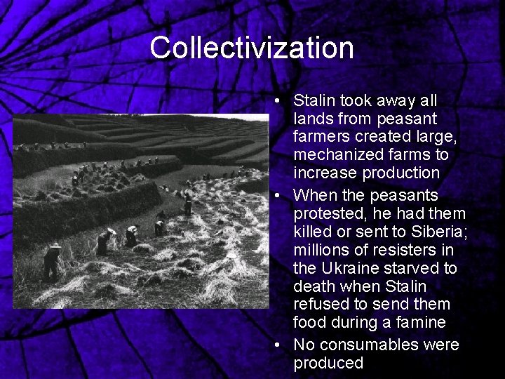 Collectivization • Stalin took away all lands from peasant farmers created large, mechanized farms