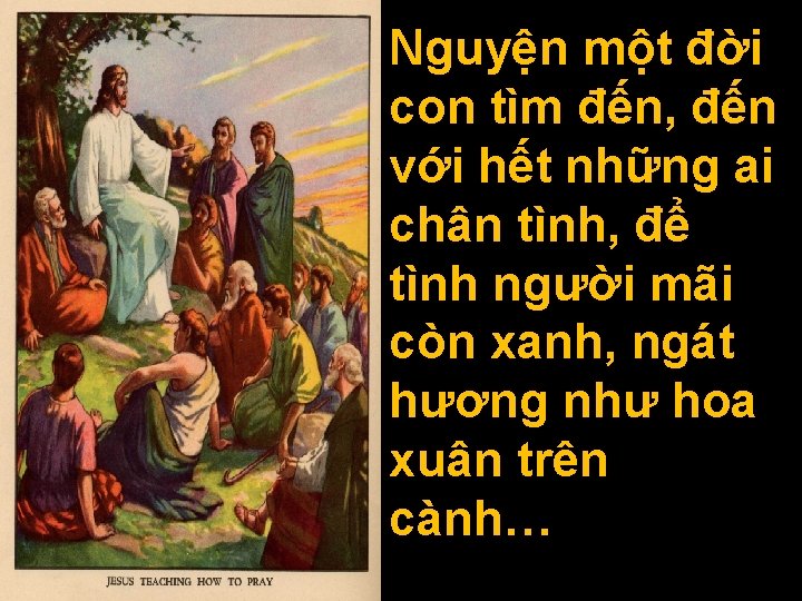 Nguyện một đời con tìm đến, đến với hết những ai chân tình, để