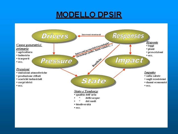 MODELLO DPSIR 