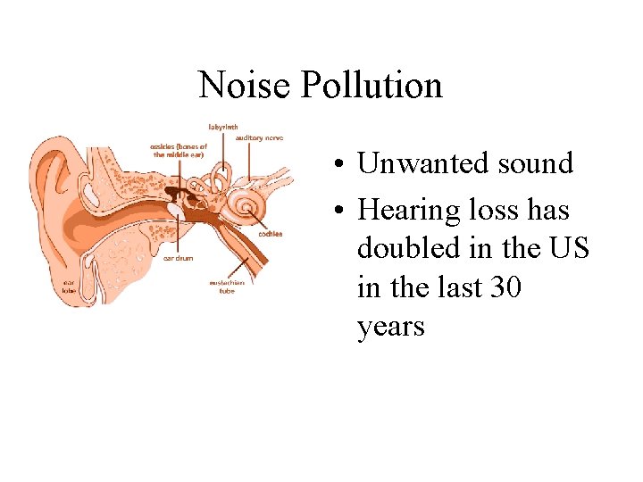 Noise Pollution • Unwanted sound • Hearing loss has doubled in the US in