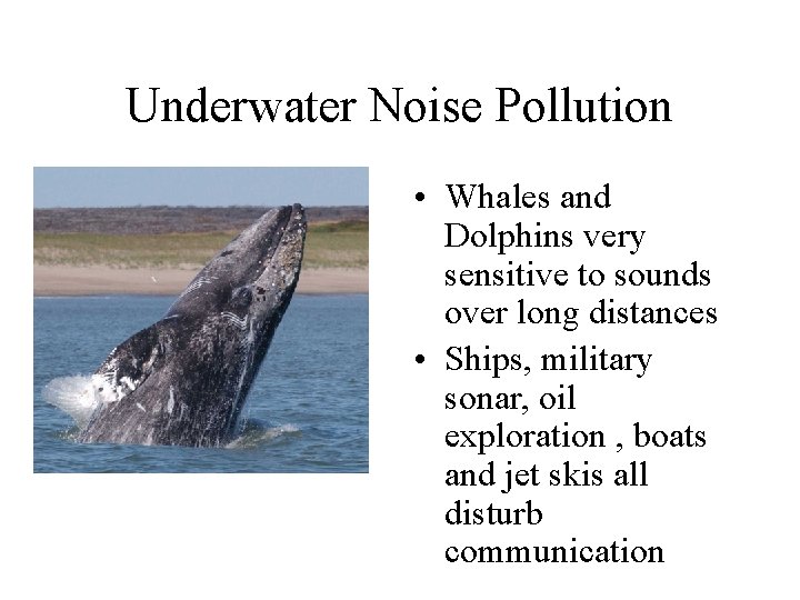 Underwater Noise Pollution • Whales and Dolphins very sensitive to sounds over long distances