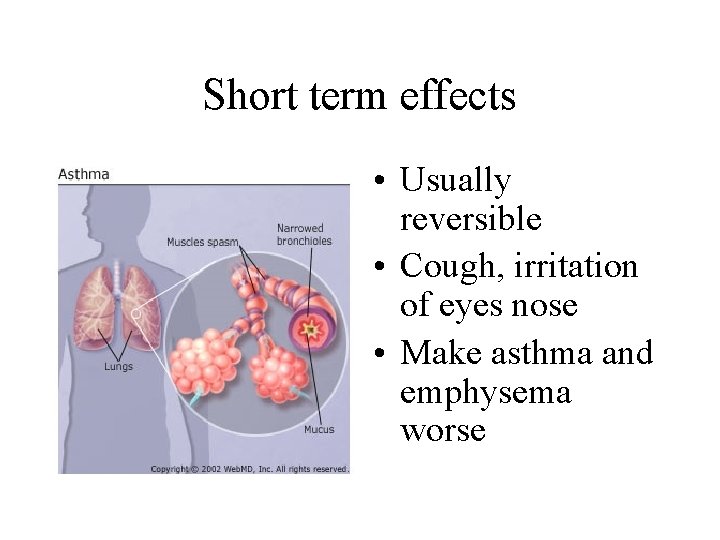 Short term effects • Usually reversible • Cough, irritation of eyes nose • Make