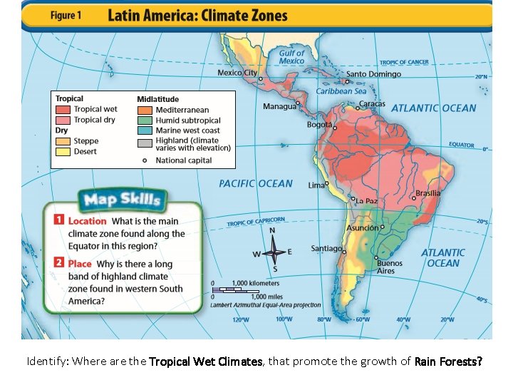 Identify: Where are the Tropical Wet Climates, that promote the growth of Rain Forests?